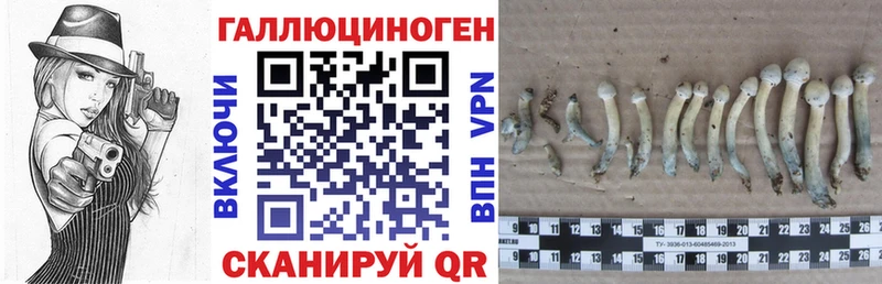 купить цена Первомайск гидра ССЫЛКА Псилоцибиновые грибы ЛСД