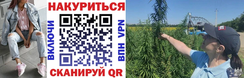 Бошки марихуана план  omg ТОР  Первомайск 
